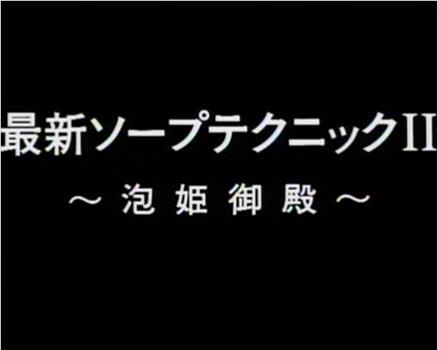 最新ソープテクニック２ 泡姫御殿在线观看和下载