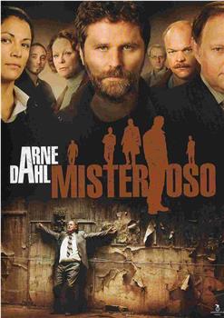 Arne Dahl: Misterioso在线观看和下载