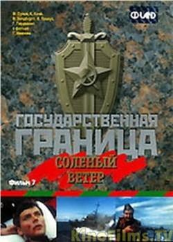 Государственная граница. Фильм 7. Соленый ветер在线观看和下载