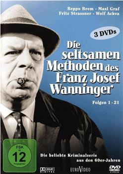 Die seltsamen Methoden des Franz Josef Wanninger在线观看和下载