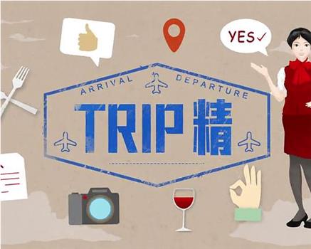 晚吹-Trip精在线观看和下载