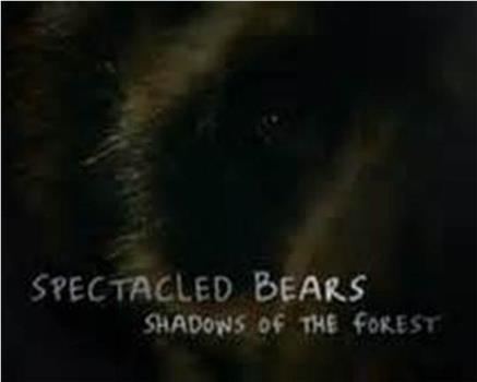自然世界：眼镜熊——森林的阴影在线观看和下载
