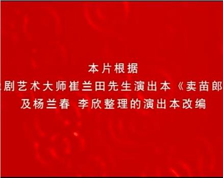 柳迎春在线观看和下载