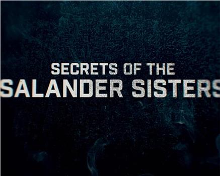 《蜘蛛网中的女孩》：莎兰德姐妹的秘密在线观看和下载