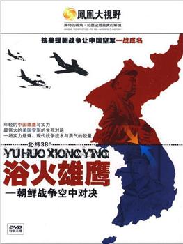 浴火雄鹰——朝鲜战争空中对决在线观看和下载