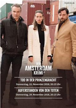 Der Amsterdam Krimi Season 2在线观看和下载