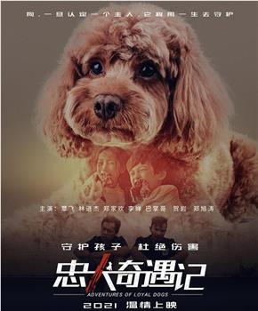 忠犬奇遇记在线观看和下载