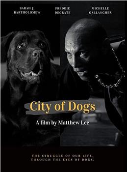 City of Dogs在线观看和下载