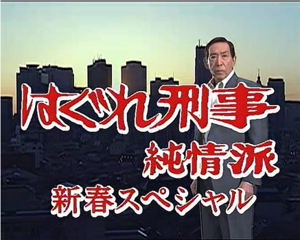 刑事纯情派 2004新春特别篇在线观看和下载