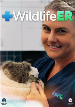 Wildlife ER Season 1在线观看和下载