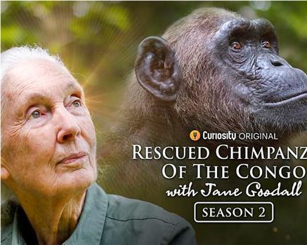 Rescued Chimpanzees of the Congo with Jane Goodall Season 2在线观看和下载