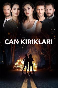 Can Kırıkları在线观看和下载