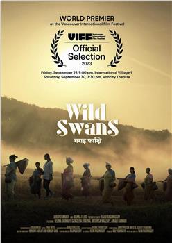 Wild Swans在线观看和下载