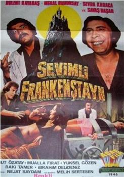 Sevimli Frankestayn在线观看和下载