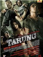 黑暗之城Tarung