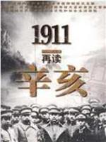 1911再读辛亥