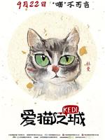 爱猫之城