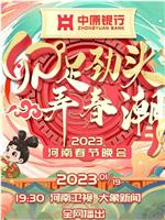 河南卫视2023年春晚