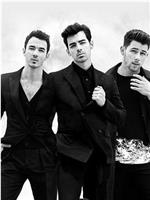 The Jonas Brothers