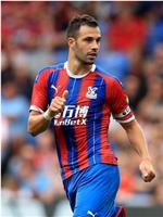 卢卡·米利沃杰维奇 Luka Milivojevic