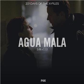 "The X Files" SE 6.14 Agua Mala在线观看和下载