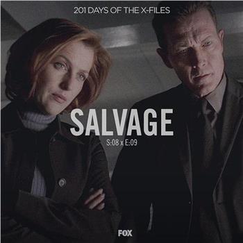 "The X Files" SE 8.9 Salvage在线观看和下载