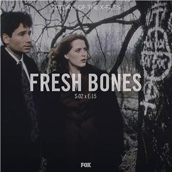 "The X Files"  Season 2, Episode 15: Fresh Bones在线观看和下载