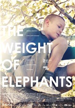 大象的重量在线观看和下载