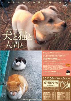 いぬとねことにんげんと在线观看和下载