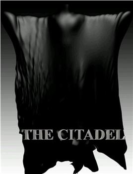 The Citadel在线观看和下载