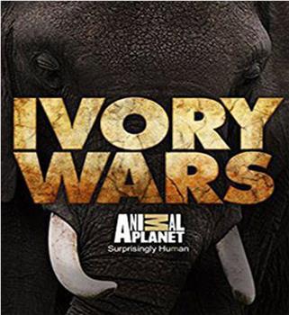 ivory wars在线观看和下载