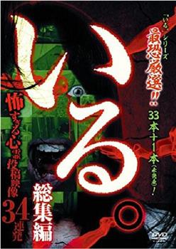 「いる。」総集編~怖すぎる心霊投稿映像34連発在线观看和下载