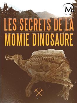 恐龙化石的秘密在线观看和下载