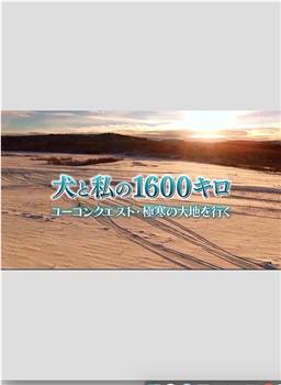 与犬共行1600公里 育空越野赛·跑过酷寒大地在线观看和下载