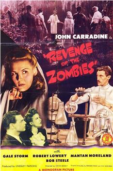 Revenge of the Zombies在线观看和下载