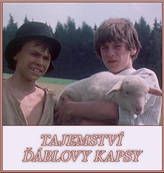 Tajemství dáblovy kapsy在线观看和下载