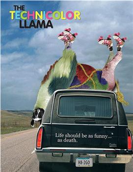 Technicolour Llama在线观看和下载