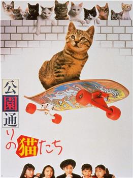 公园路的猫们在线观看和下载