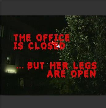 The Office is Closed...But Her Legs Are Open在线观看和下载