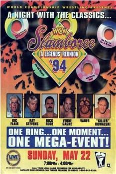 WCW: Slamboree 1994在线观看和下载