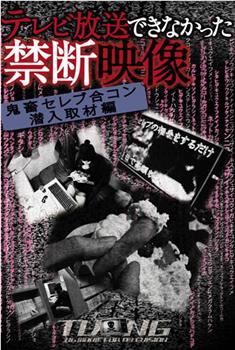 テレビ放送できなかった禁断映像2在线观看和下载