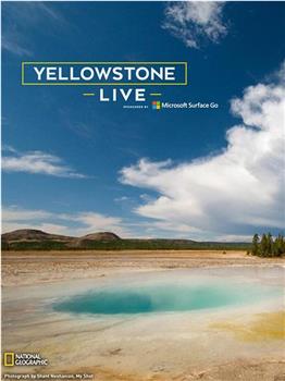 Yellowstone Live Season 1在线观看和下载