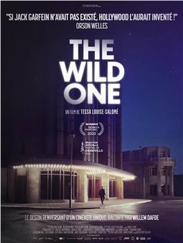 Jack Garfein, the Wild One在线观看和下载