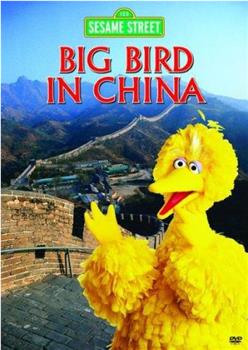 大鸟在中国在线观看和下载
