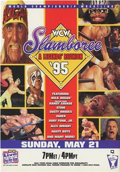 WCW Slamboree 1995在线观看和下载