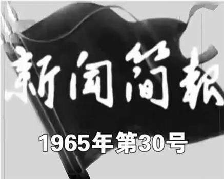 新闻简报1965年第30号在线观看和下载