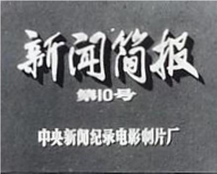 新闻简报1973年第10号在线观看和下载