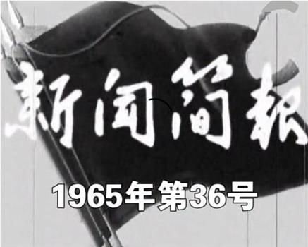 新闻简报1965年第36号在线观看和下载