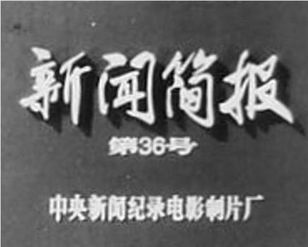 新闻简报1973年第36号在线观看和下载