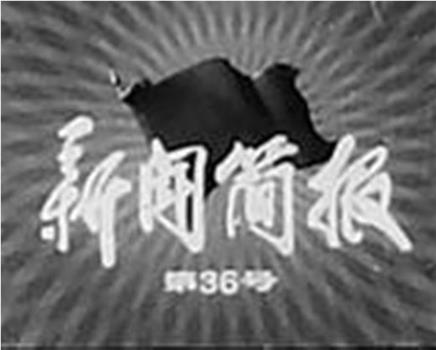 新闻简报1975年第36号在线观看和下载